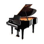 Дисклавир Yamaha DC2A PE, фото 